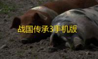 战国传承3手机版